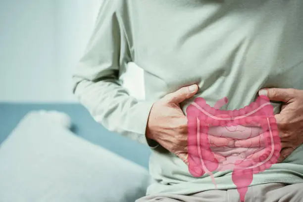 Best probiotics for men's gut health?
