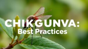 Chikungunya Virus Symptoms